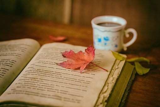 Photo of an open book with an autumn leaf on top